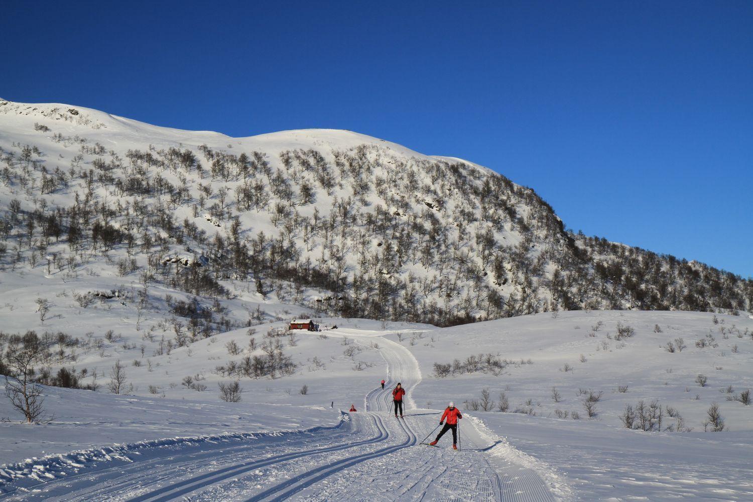 Balestrand Fjordapartments Екстериор снимка